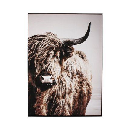 Bild HIGHLAND BISON